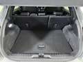Ford Puma Puma 1.0 EcoBoost Hybrid 125 CV S&S ST-Line Grau - thumbnail 12