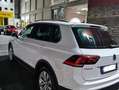 Volkswagen Tiguan 2.0 tdi Executive 150cv dsg Blanc - thumbnail 8