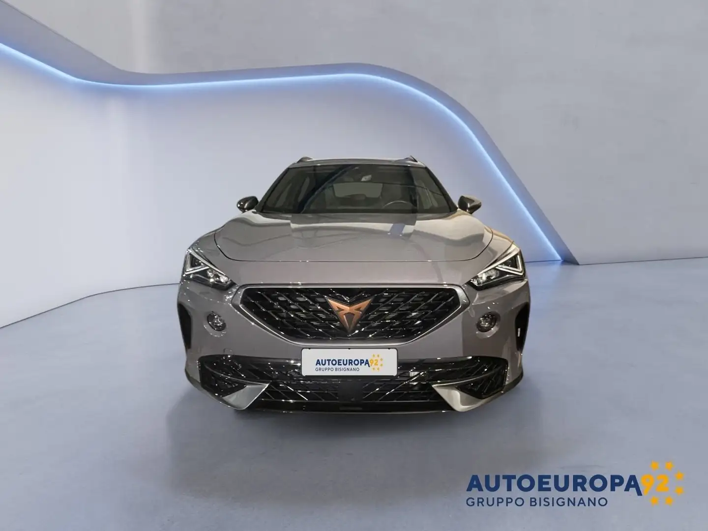 CUPRA Formentor Formentor 2.0 TDI 4Drive DSG Gris - 2