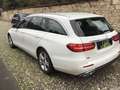 Mercedes-Benz E 200 D 150 CV SW BUSINESS Bianco - thumbnail 13