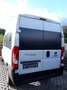 Fiat Ducato MAXI 35 L2H2 Transporter mit CAMPERSELBSTAUSBAU Weiß - thumbnail 8