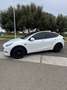 Tesla Model Y standard Range - thumbnail 3