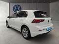 Volkswagen Golf VIII 1.5 TSI Life Navi LED Rückfahrkamera L Blanc - thumbnail 4