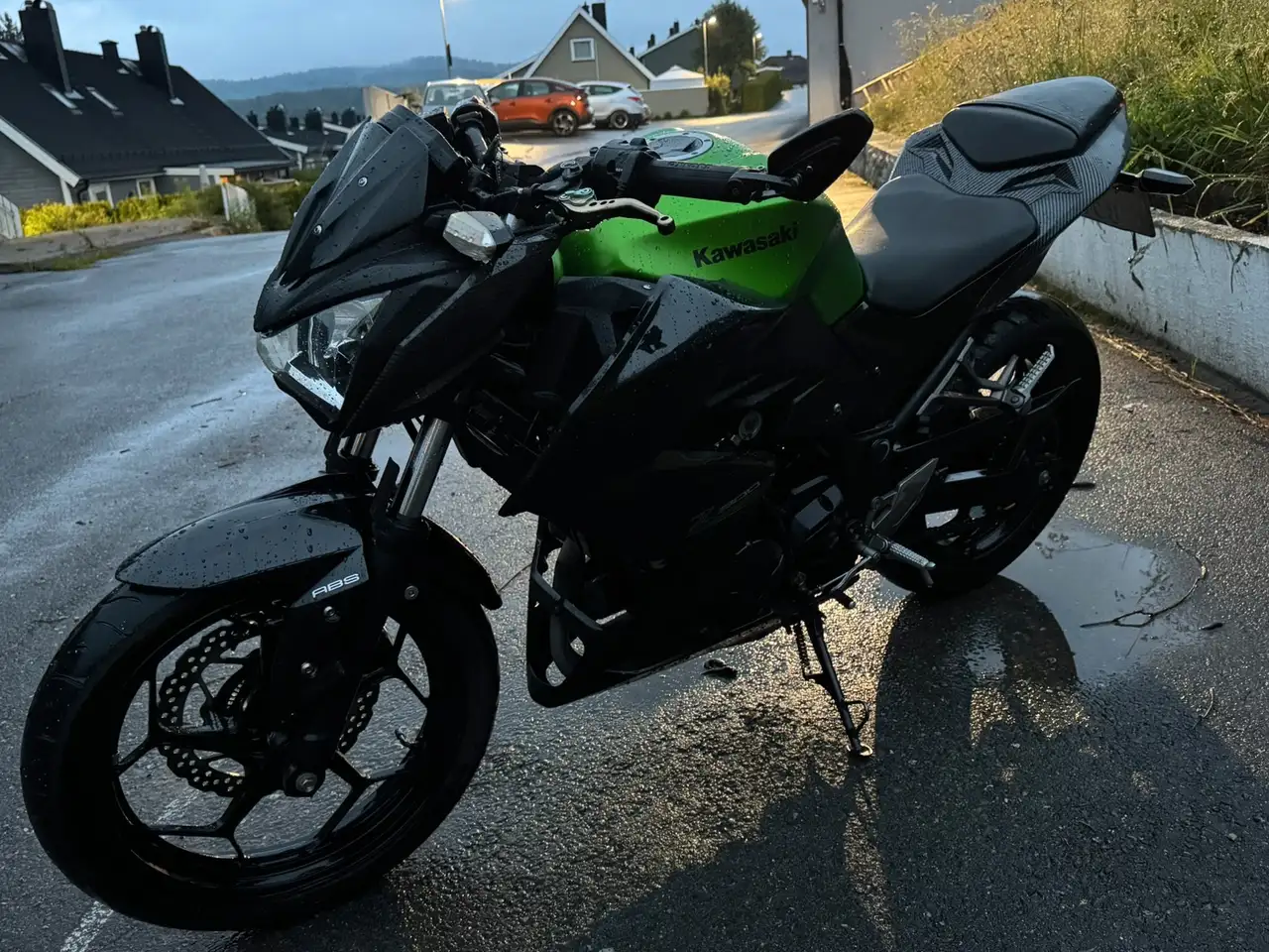 Kawasaki Z 300