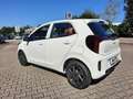 Kia Picanto 1,0 Vision MJ25 *Navi*Kamera*Shz*Alu* Bianco - thumbnail 4
