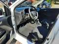 Kia Picanto 1,0 Vision MJ25 *Navi*Kamera*Shz*Alu* Weiß - thumbnail 10