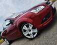 Ford Focus 2.0 TDCi CC CABRIO LIBROS Burdeos - thumbnail 2