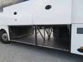 Trucks-Lkw Sonstige VANHOOL T915 ALICRON Weiß - thumbnail 10