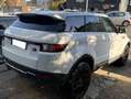 Land Rover Range Rover Evoque Range Rover Evoque SD4 Prestige - thumbnail 2