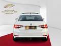 Skoda Superb Style TSI ACT DSG //MWST// PANO // AHK // 1.BESITZ Blanc - thumbnail 15