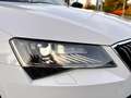 Skoda Superb Style TSI ACT DSG //MWST// PANO // AHK // 1.BESITZ Blanc - thumbnail 34