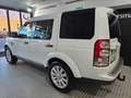 Land Rover Discovery 3.0 SDV6 255 CV HSE 7 plazas Weiß - thumbnail 4