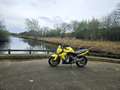 Kawasaki ER - 6 N Geel - thumbnail 4