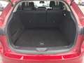 Mazda CX-60 CX-60 3.3 e-SKYACTIV AWD HOMURA Aut. Rot - thumbnail 12