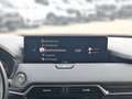 Mazda CX-60 CX-60 3.3 e-SKYACTIV AWD HOMURA Aut. Rot - thumbnail 19