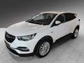 Opel Grandland X Grandland Wenig KM, super gepflegt Blanc - thumbnail 8
