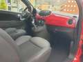 Fiat 500 1.0 hybrid Sport 70cv Rosso - thumbnail 13