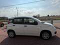 Fiat Panda Panda III 2016 1.2 Easy easypower Gpl 69cv my19 Wit - thumbnail 4