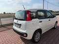 Fiat Panda Panda III 2016 1.2 Easy easypower Gpl 69cv my19 Wit - thumbnail 5