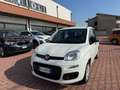 Fiat Panda Panda III 2016 1.2 Easy easypower Gpl 69cv my19 Wit - thumbnail 2