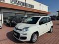 Fiat Panda Panda III 2016 1.2 Easy easypower Gpl 69cv my19 Wit - thumbnail 1