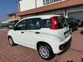 Fiat Panda Panda III 2016 1.2 Easy easypower Gpl 69cv my19 Wit - thumbnail 7