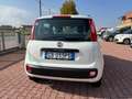 Fiat Panda Panda III 2016 1.2 Easy easypower Gpl 69cv my19 Wit - thumbnail 6