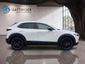 Mazda CX-30 e-Skyactive G140 Nagisa Aut. Weiß - thumbnail 6