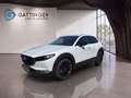 Mazda CX-30 e-Skyactive G140 Nagisa Aut. Weiß - thumbnail 2