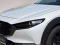 Mazda CX-30 e-Skyactive G140 Nagisa Aut. Weiß - thumbnail 7