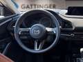 Mazda CX-30 e-Skyactive G140 Nagisa Aut. Weiß - thumbnail 12