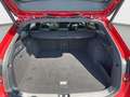 Volkswagen Passat Variant 2.0 TDI DSG  R-Line Black Style* Rot - thumbnail 12