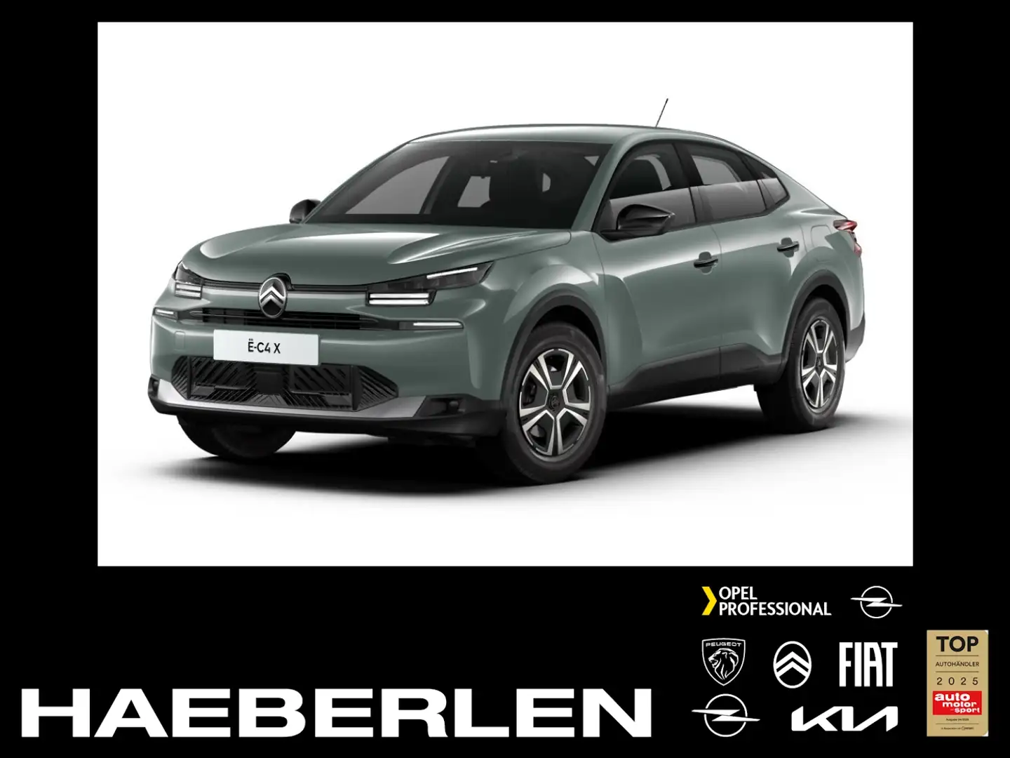 Citroen C4 X Elektro YOU Standard-Range *Gewerbeknaller* Vert - 1
