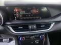 Alfa Romeo Stelvio 2.2 t Business Q4 190cv auto Blu/Azzurro - thumbnail 13