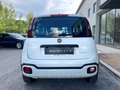 Fiat Panda Panda III 2021 Cross 1.0 firefly hybrid Cross s Weiß - thumbnail 6