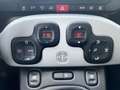 Fiat Panda Panda III 2021 Cross 1.0 firefly hybrid Cross s Weiß - thumbnail 11