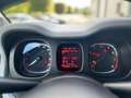 Fiat Panda Panda III 2021 Cross 1.0 firefly hybrid Cross s Weiß - thumbnail 10