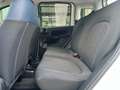 Fiat Panda Panda III 2021 Cross 1.0 firefly hybrid Cross s Weiß - thumbnail 15