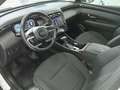 Hyundai TUCSON Híbrido 1.6 CRDI 136cv 48V Maxx 4X4 Blanco - thumbnail 8
