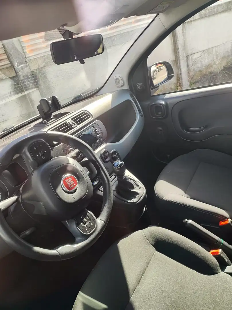 Fiat Panda Panda 1.0 hybrid City Cross Gris - 2