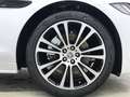 Jaguar XF Sportbrake D200 R-Dynamic SE AHK AKTION* White - thumbnail 5