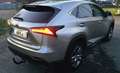 Lexus NX 300 LEXUS NX 300H HYBRIDE Bronze - thumbnail 7