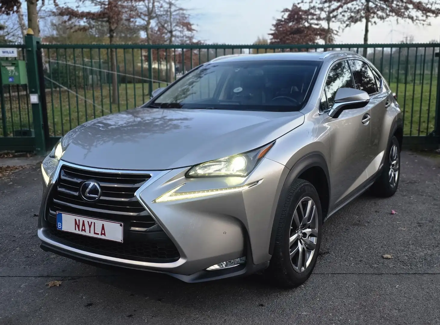 Lexus NX 300 LEXUS NX 300H HYBRIDE Bronze - 1