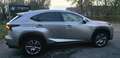 Lexus NX 300 LEXUS NX 300H HYBRIDE Bronze - thumbnail 8