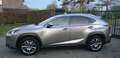 Lexus NX 300 LEXUS NX 300H HYBRIDE Bronze - thumbnail 4