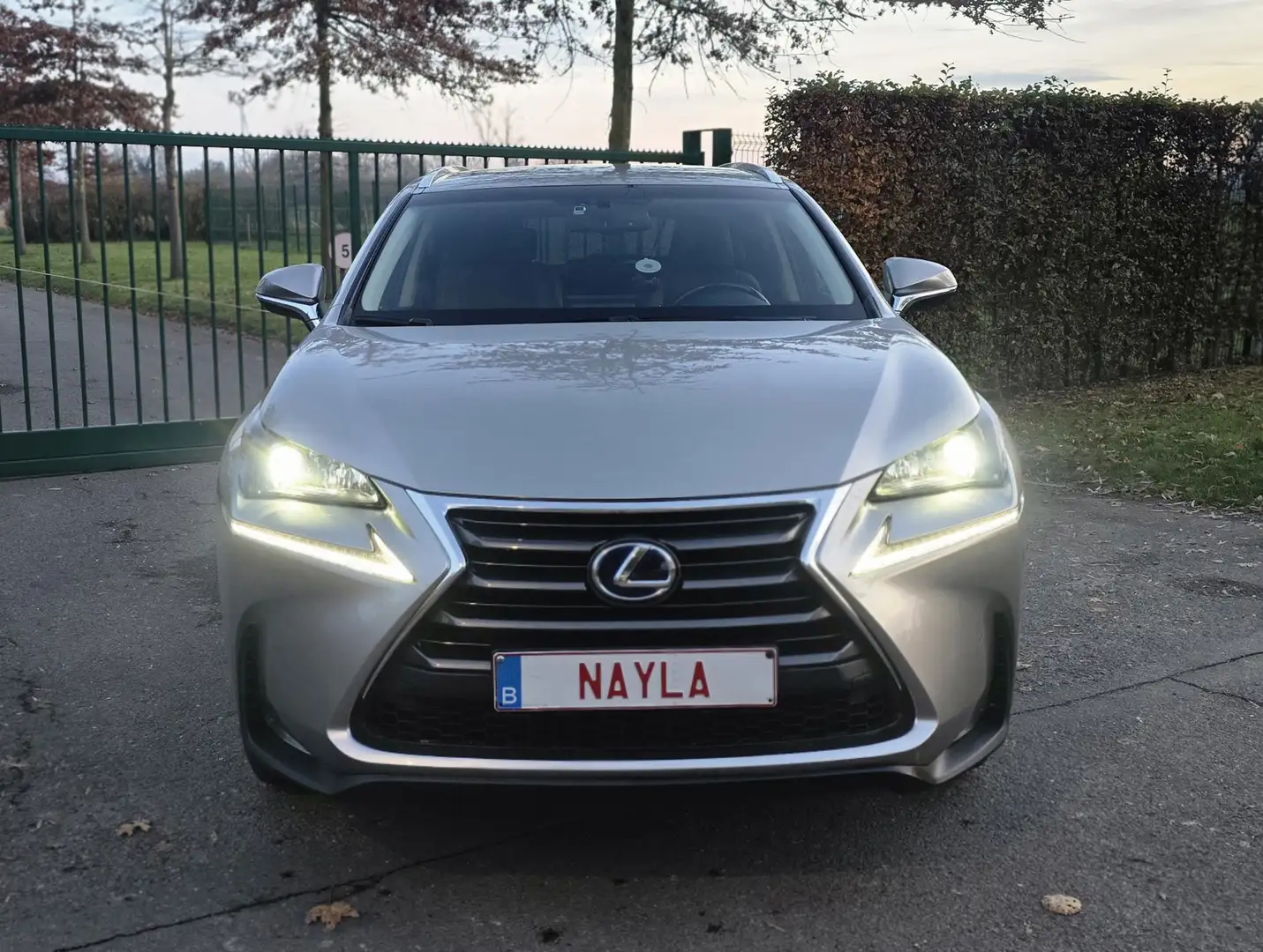 Lexus NX 300 LEXUS NX 300H HYBRIDE Bronze - 2