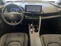 Toyota C-HR C-HR 2.0 phev Lounge Premiere fwd e-cvt AZIENDALE Gold - thumbnail 15