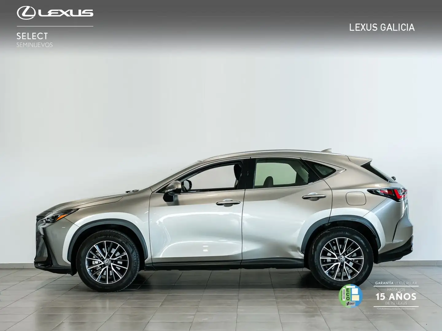 Lexus NX 350h Business City 2WD - 2