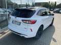 Ford Kuga ST-LINE X 2.5 PHEV 225PS BLACK PACKAGE Wit - thumbnail 6