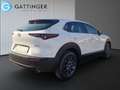 Mazda CX-30 e-Skyactive G140 Prime-Line Weiß - thumbnail 12